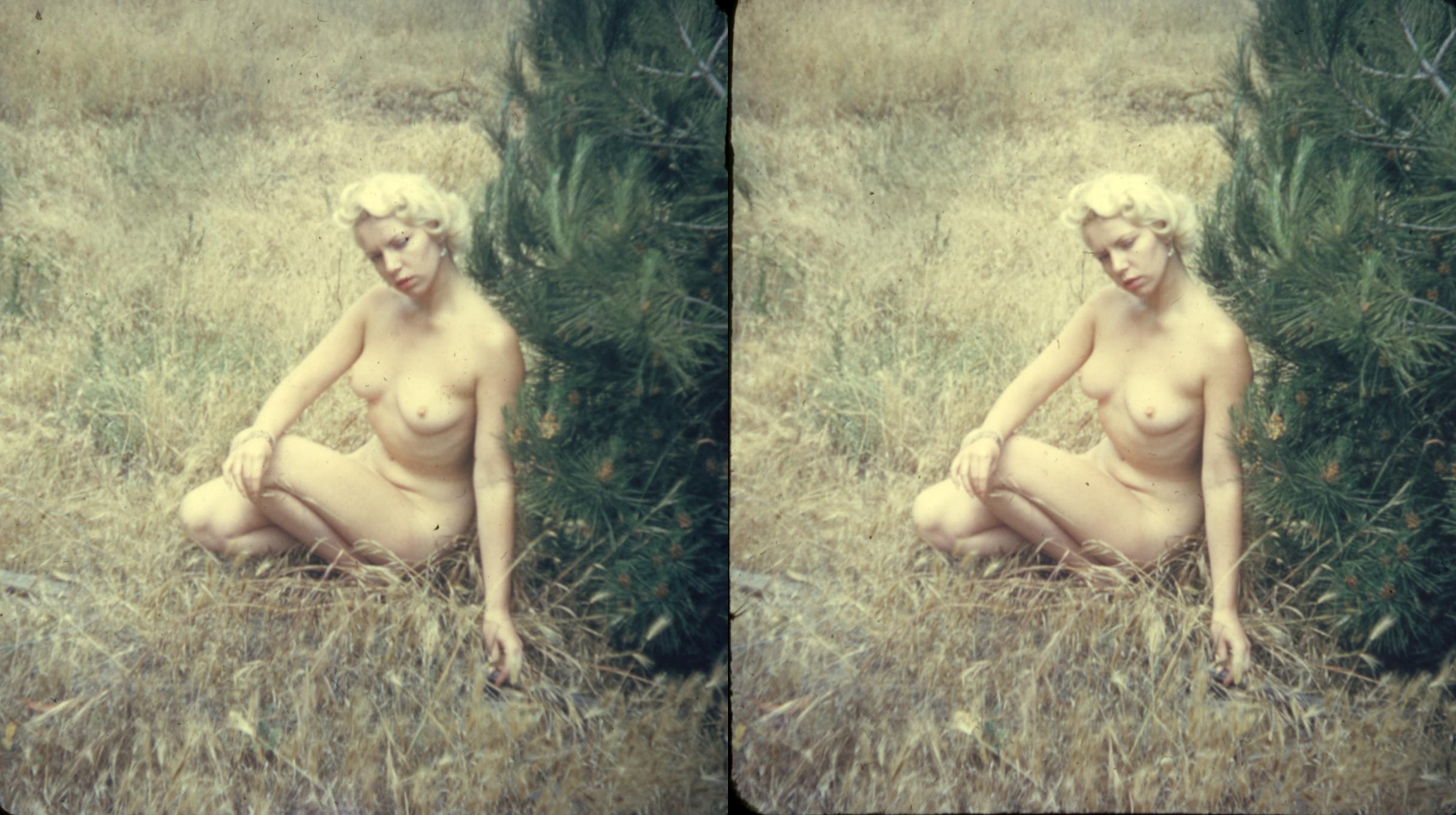 Nude Stereo Pairs 83